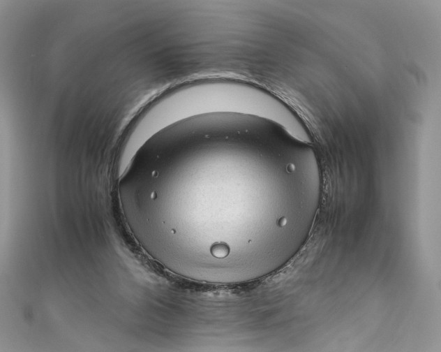 X0000110910112200907091445