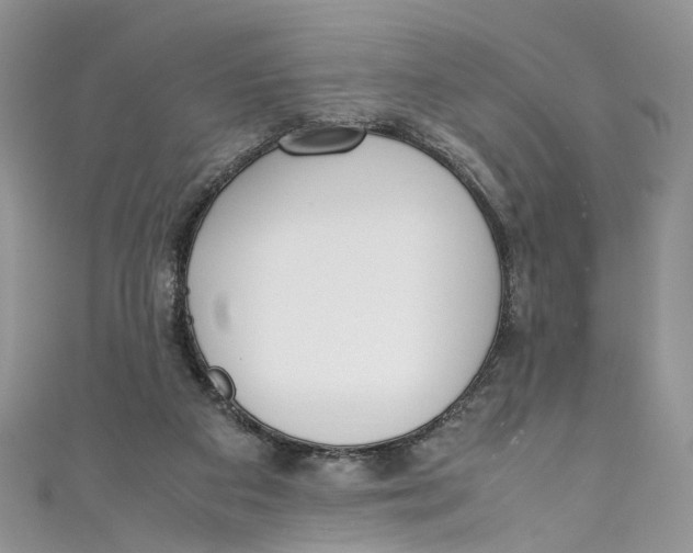 X0000110910113200907091445