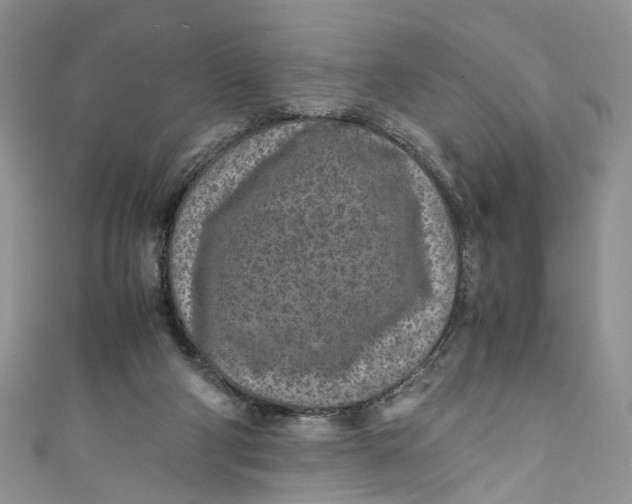 X0000110910114200907091445