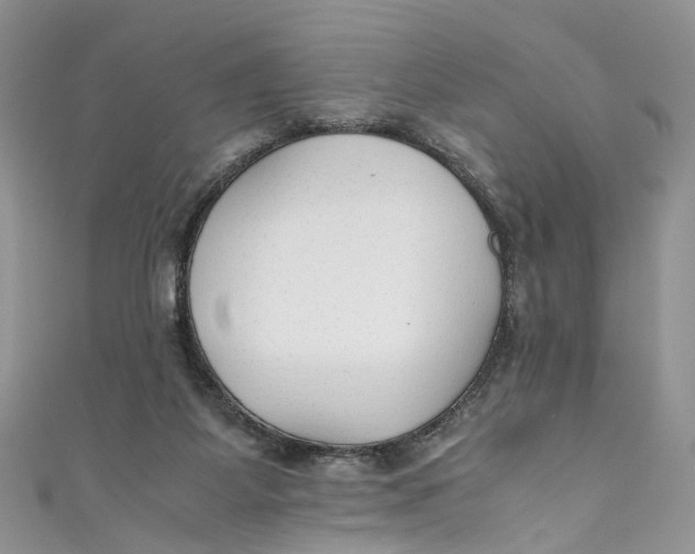 X0000110910115200907091445