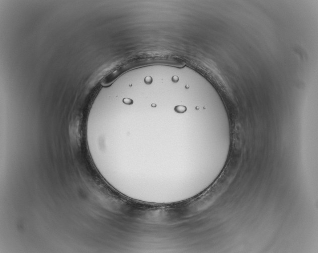 X0000110910116200907091445