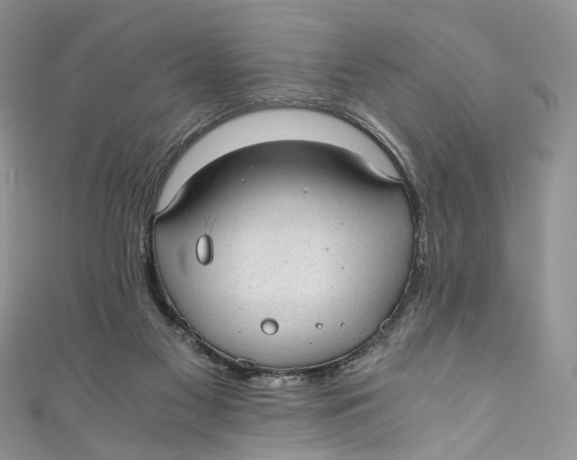 X0000110910117200907091445