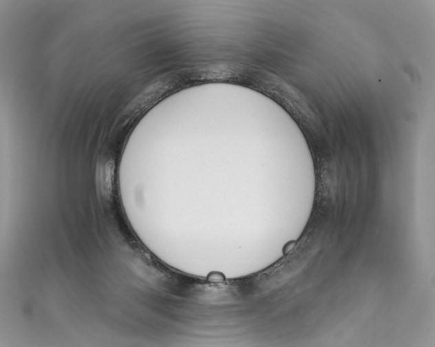 X0000110910118200907091444