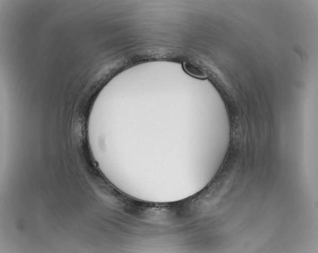 X0000110910119200907091444