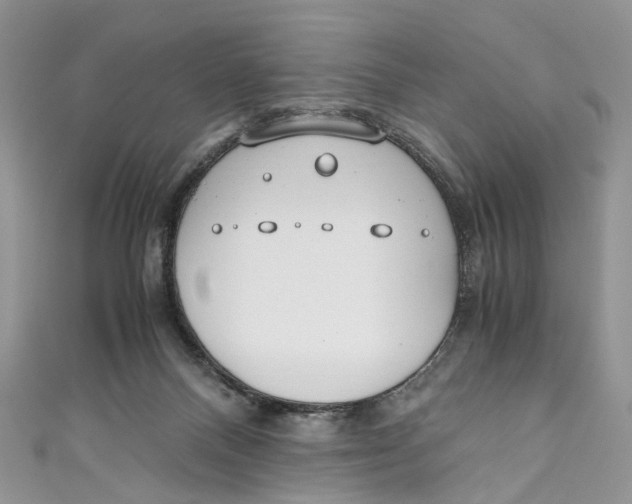 X0000110910120200907091444