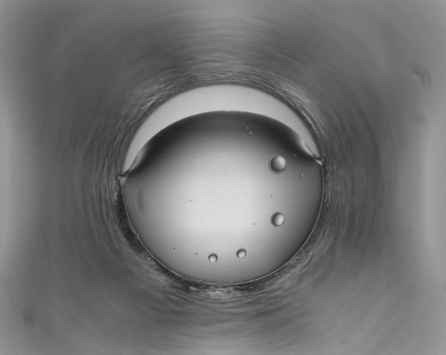 X0000110910121200907091444