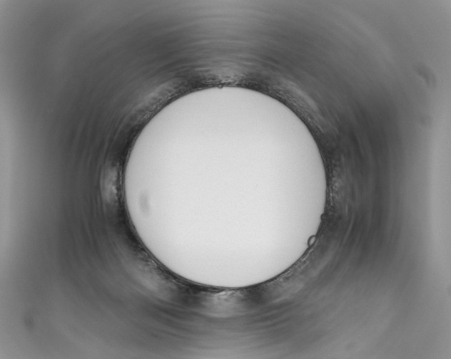 X0000110910122200907091444