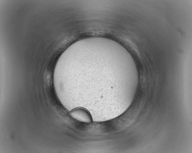 X0000110910123200907091444