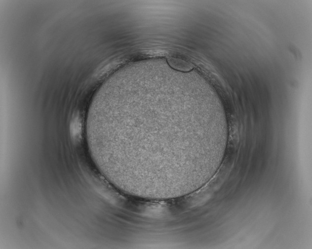 X0000110910124200907091444