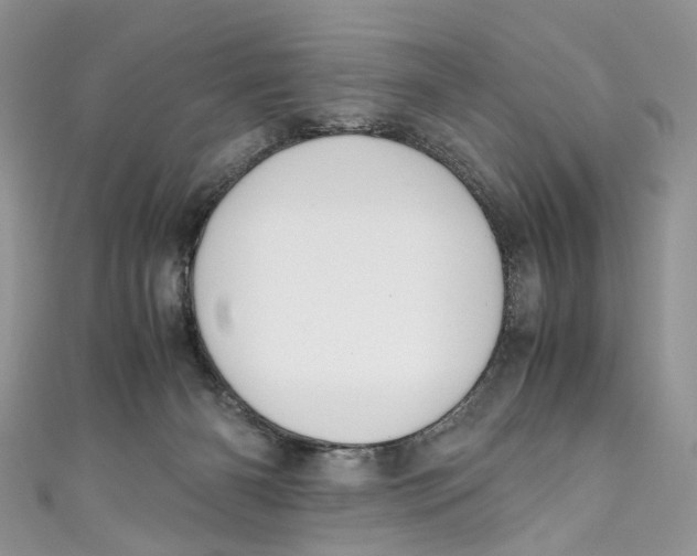 X0000110910126200907091444