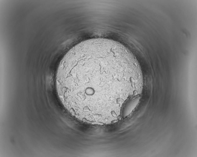 X0000110910127200907091444