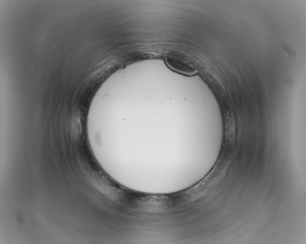 X0000110910128200907091444