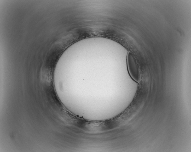 X0000110910129200907091444