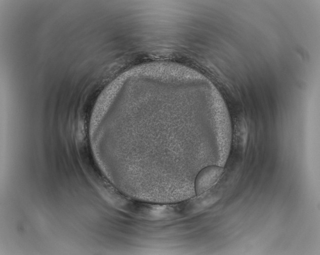 X0000110910130200907091444