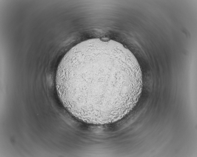 X0000110910131200907091444