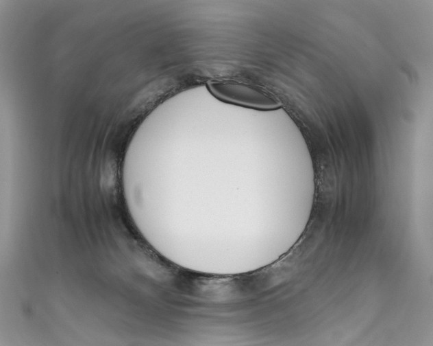 X0000110910132200907091444