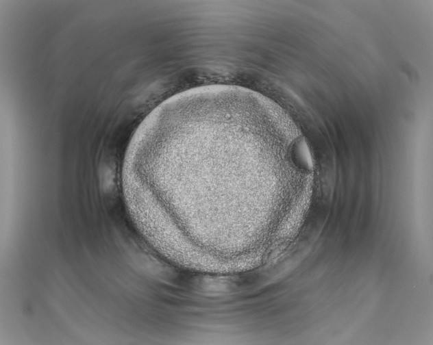 X0000110910134200907091444