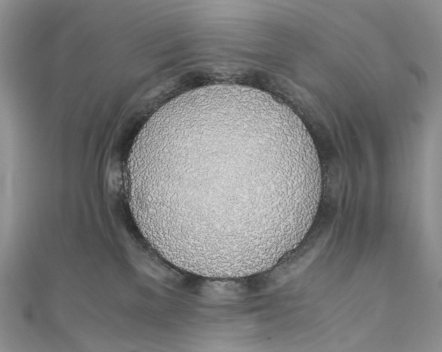 X0000110910137200907091444