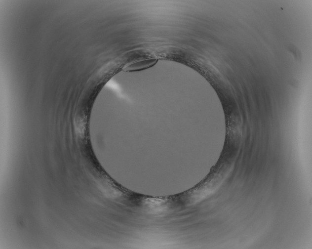 X0000110910139200907091444