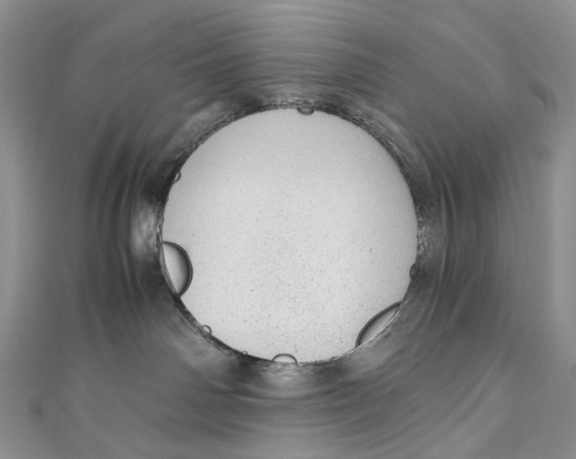 X0000110910142200907091444