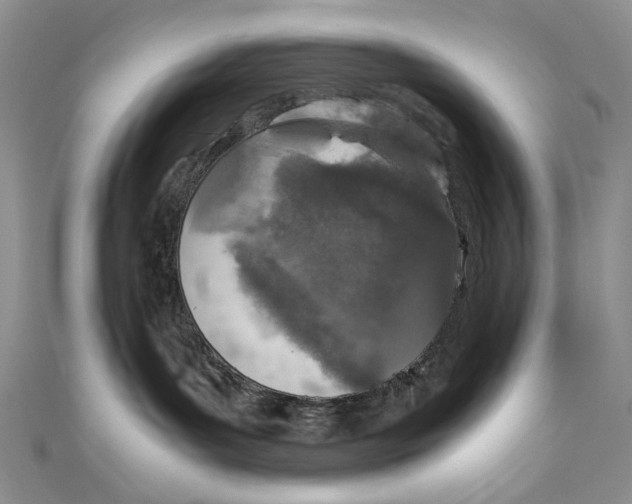 X0000110910143200907091444