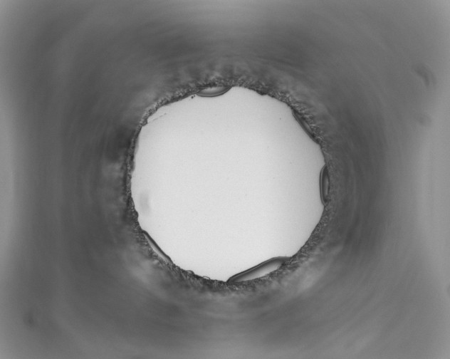 X0000110910144200907091444