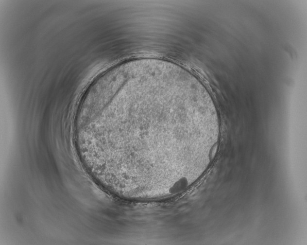 X0000110910145200907091443