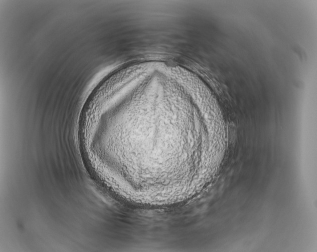 X0000110910147200907091443