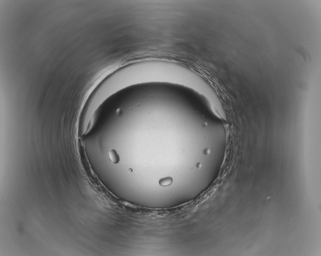 X0000110910148200907091443