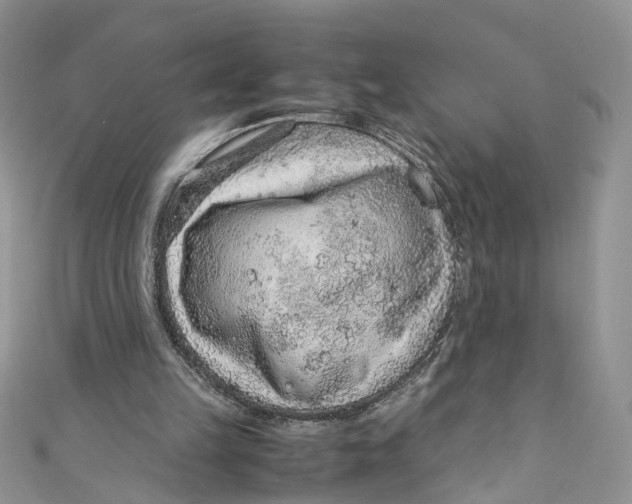 X0000110910149200907091443