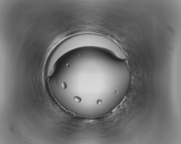 X0000110910152200907091443