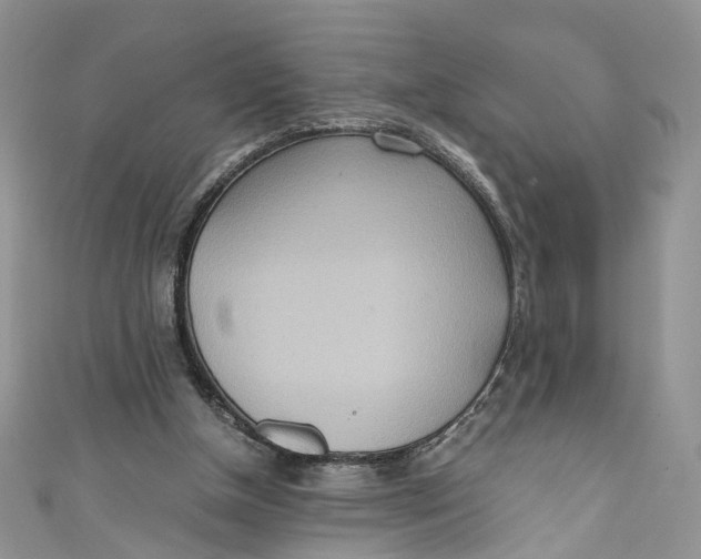 X0000110910154200907091443