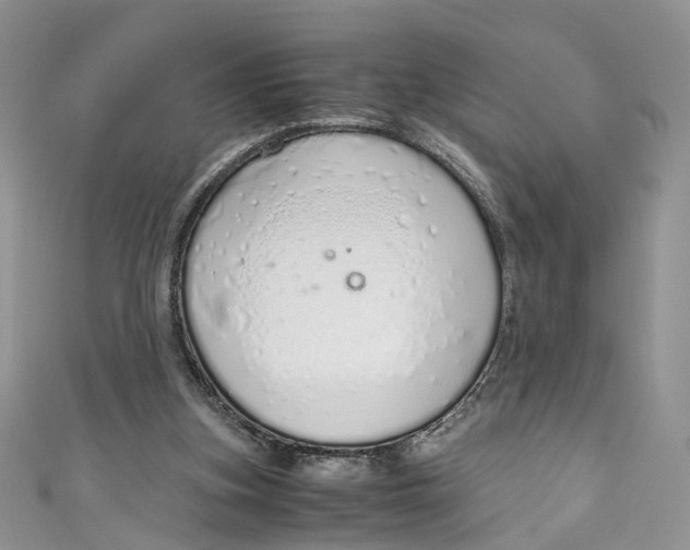 X0000110910155200907091444