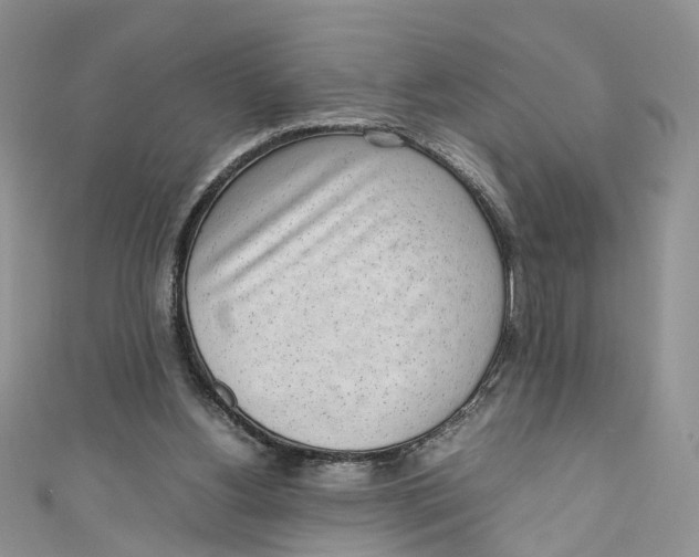 X0000110910156200907091444