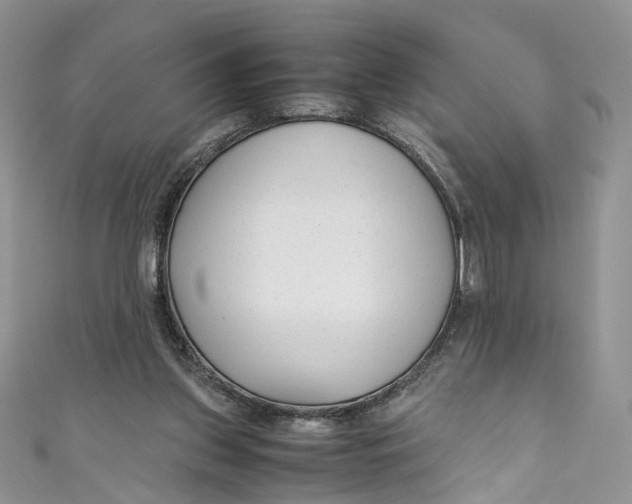 X0000110910157200907091444