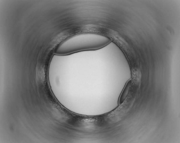 X0000110910158200907091444