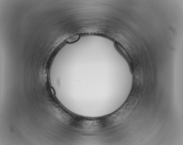 X0000110910160200907091444