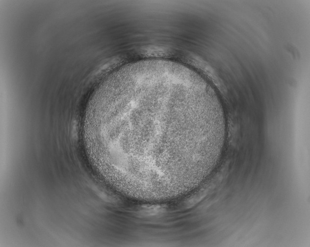 X0000110910161200907091444