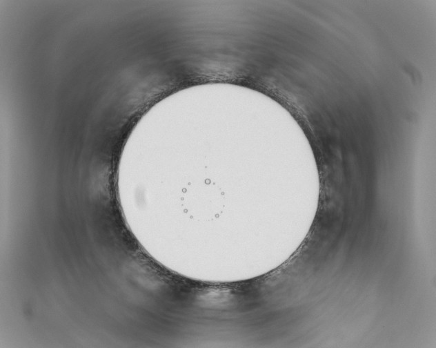 X0000110910162200907091444