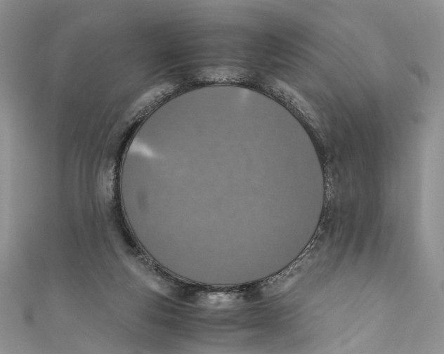 X0000110910163200907091444