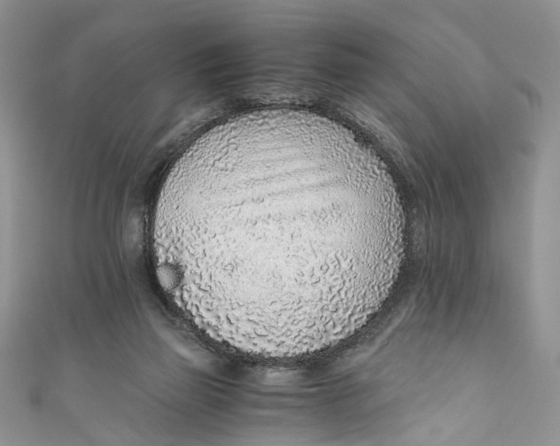 X0000110910165200907091444