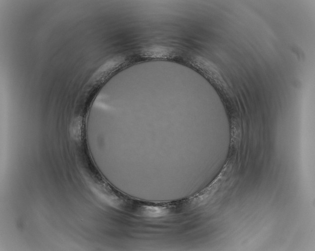 X0000110910167200907091444