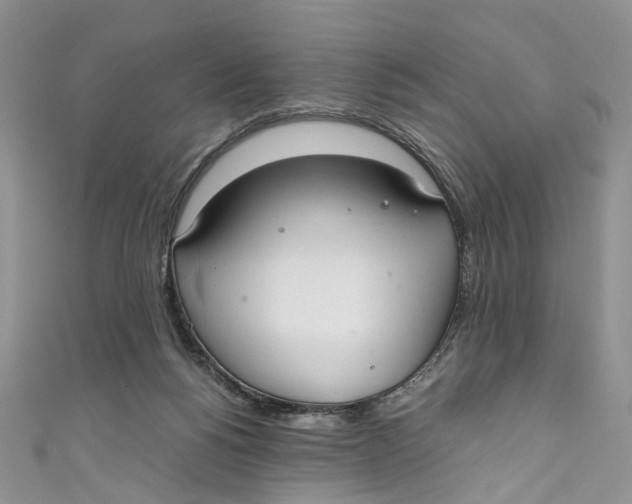 X0000110910168200907091444