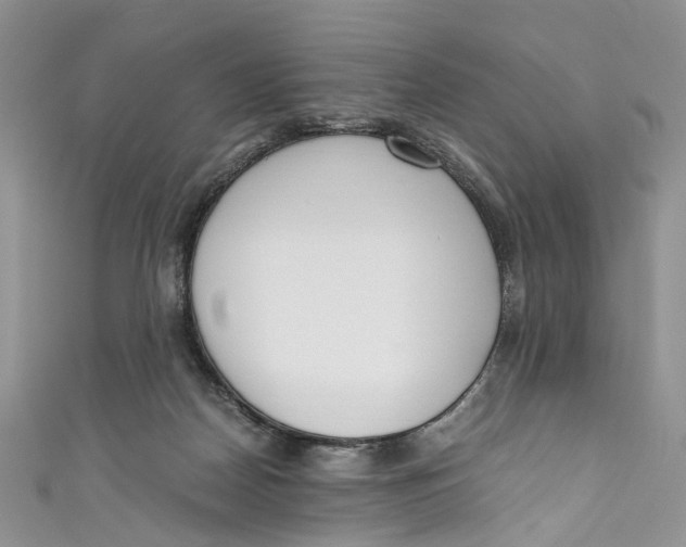 X0000110910170200907091444