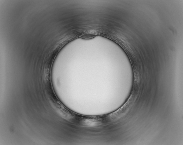 X0000110910171200907091444