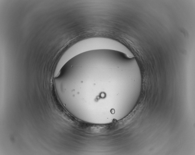 X0000110910172200907091444