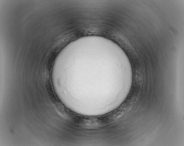 X0000110910173200907091444