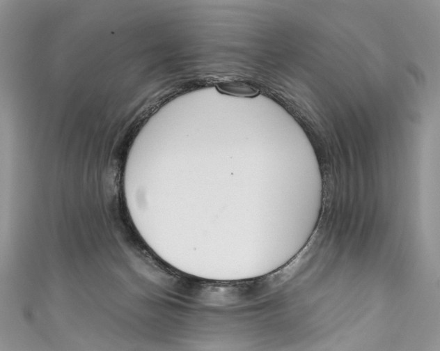 X0000110910174200907091444