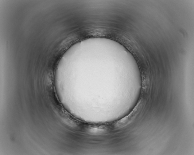 X0000110910175200907091444