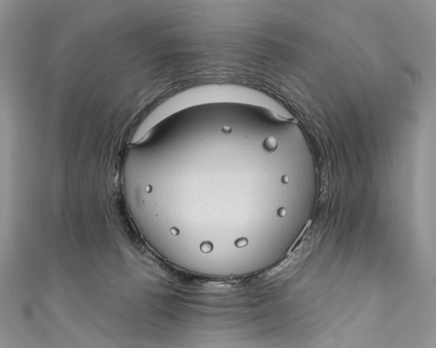 X0000110910176200907091444